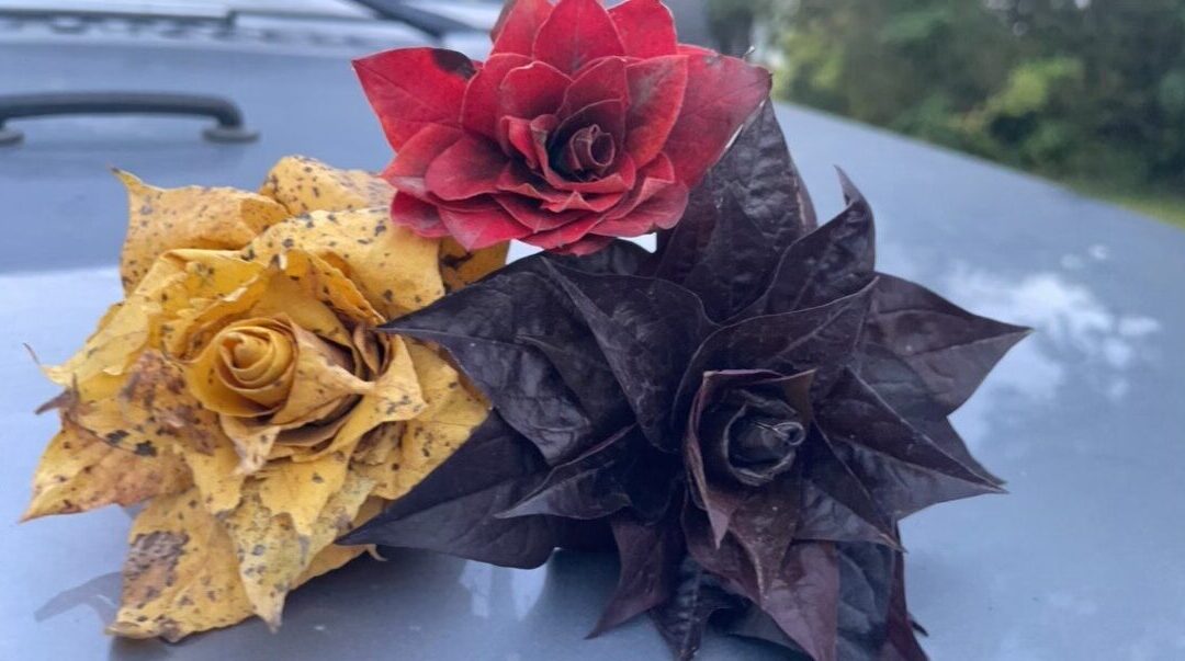 Raw materials transformed into stunning works