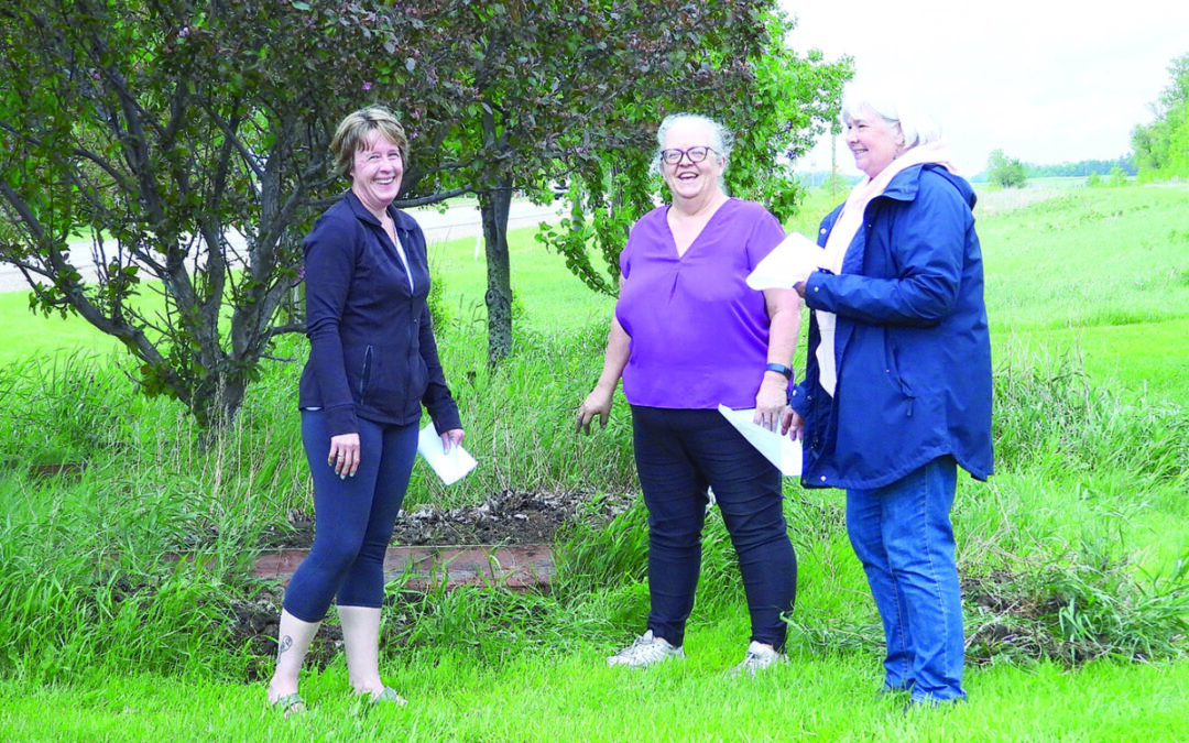 Many towns embracing for town wide cleanups
