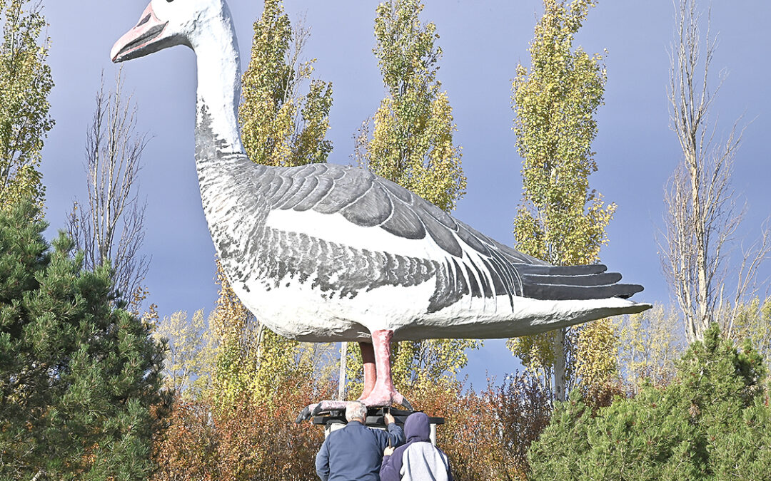 Cabrea the Dunrea mascot turns to the south