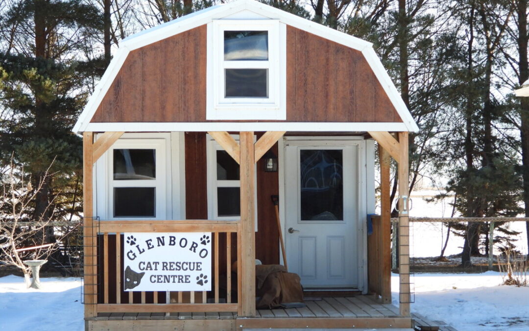 Glenboro Cat Rescue is still going strong