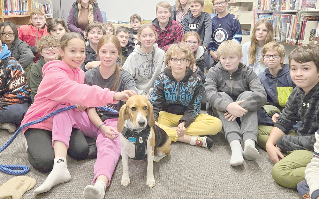 Brave Beagle with a 2nd chance steals the hearts of many