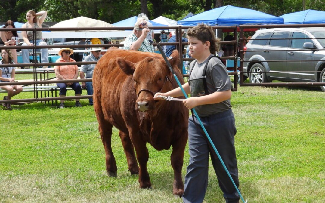 Pelican Lake Ag. Society Fair returning back to two day event