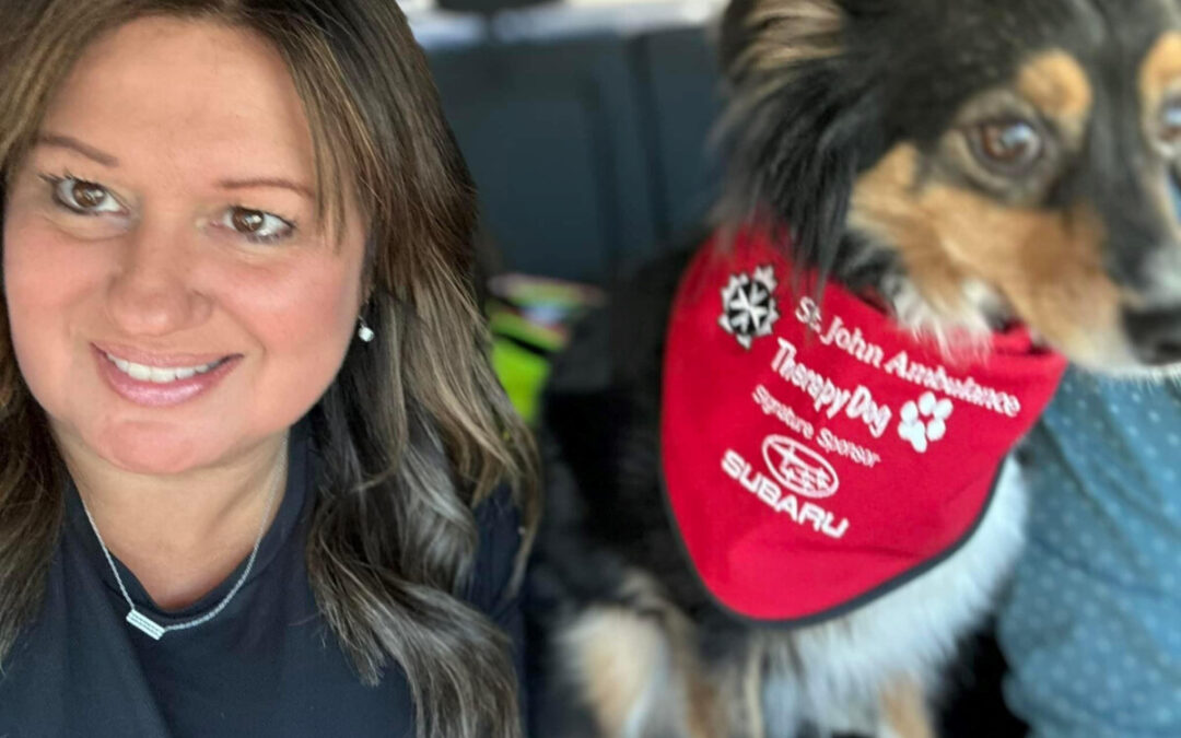 Furry Friends that offer comfort and support