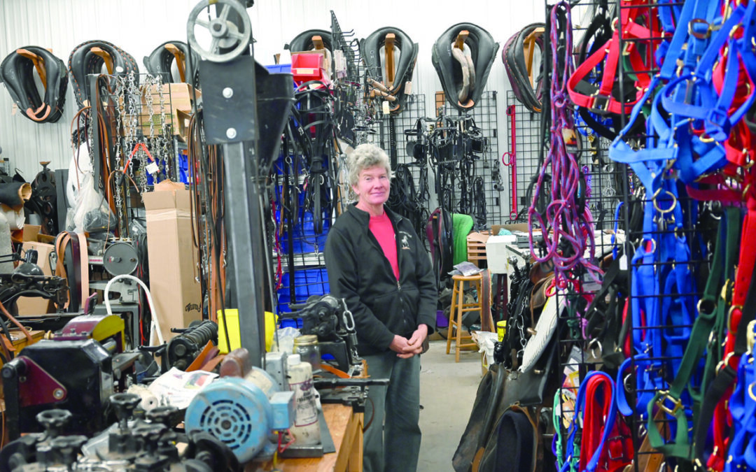 TnT Harness & Tack filled with unique equipment