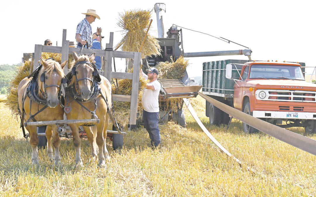 Threshing day at the Early’s