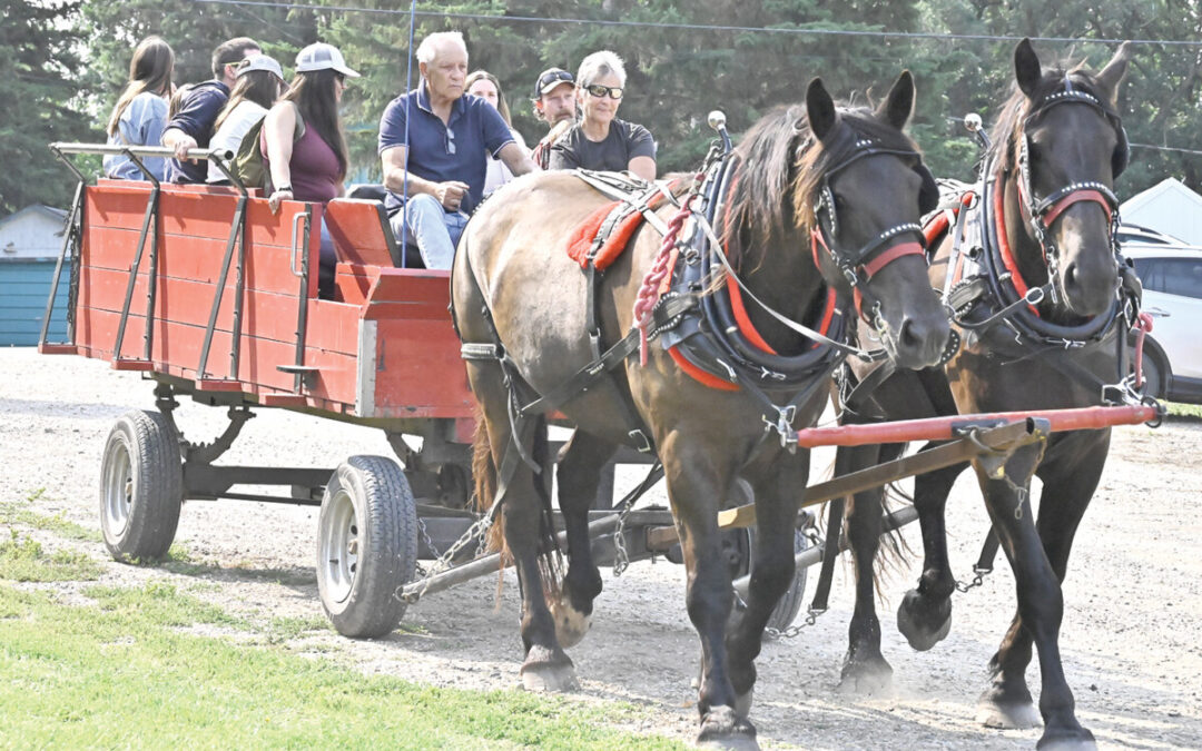Wawanesa Lions Children’s Fair turns out perfectly