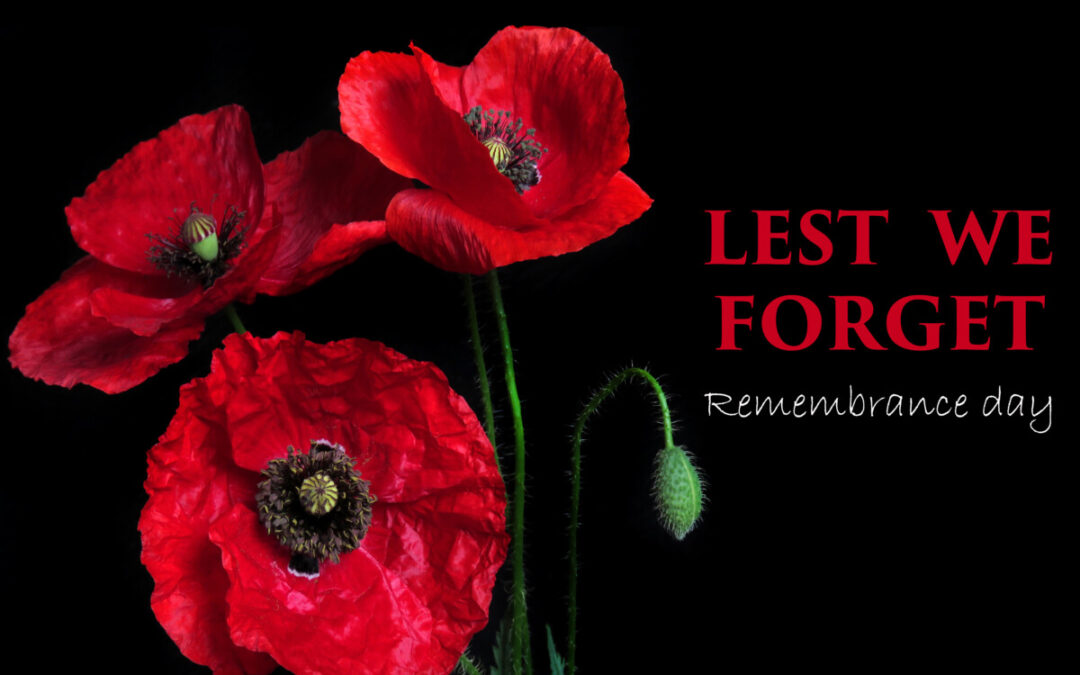 Remembrance Day is a deeply significant occasion