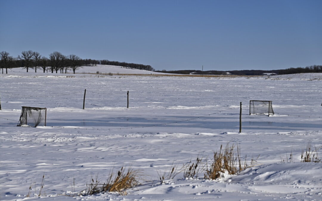 Belmont creates a classic skating rink
