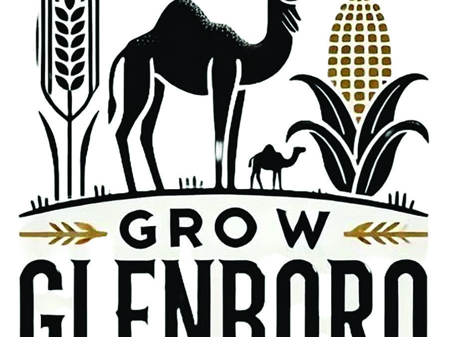 Grow Glenboro hopes to bring dreams to minor sports and community projects