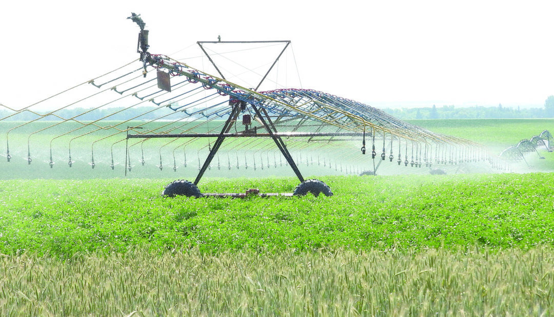 Fields of change – Under the Hill and Swansfleet join Lake Winnipeg protection effort