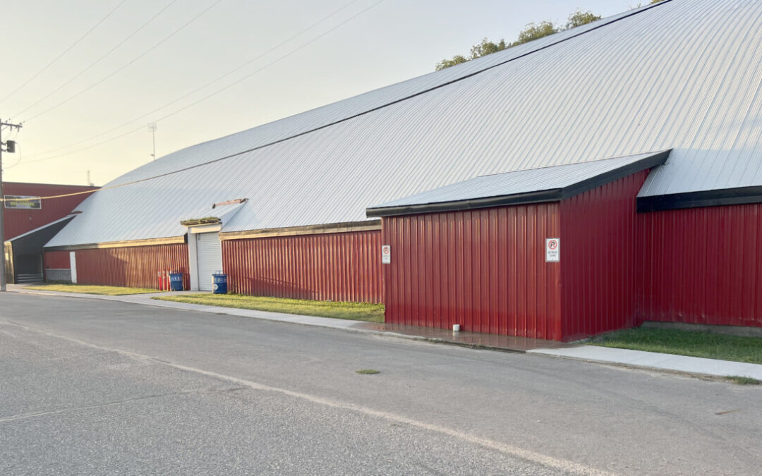 Baldur Rec Centre plans substantial upgrade