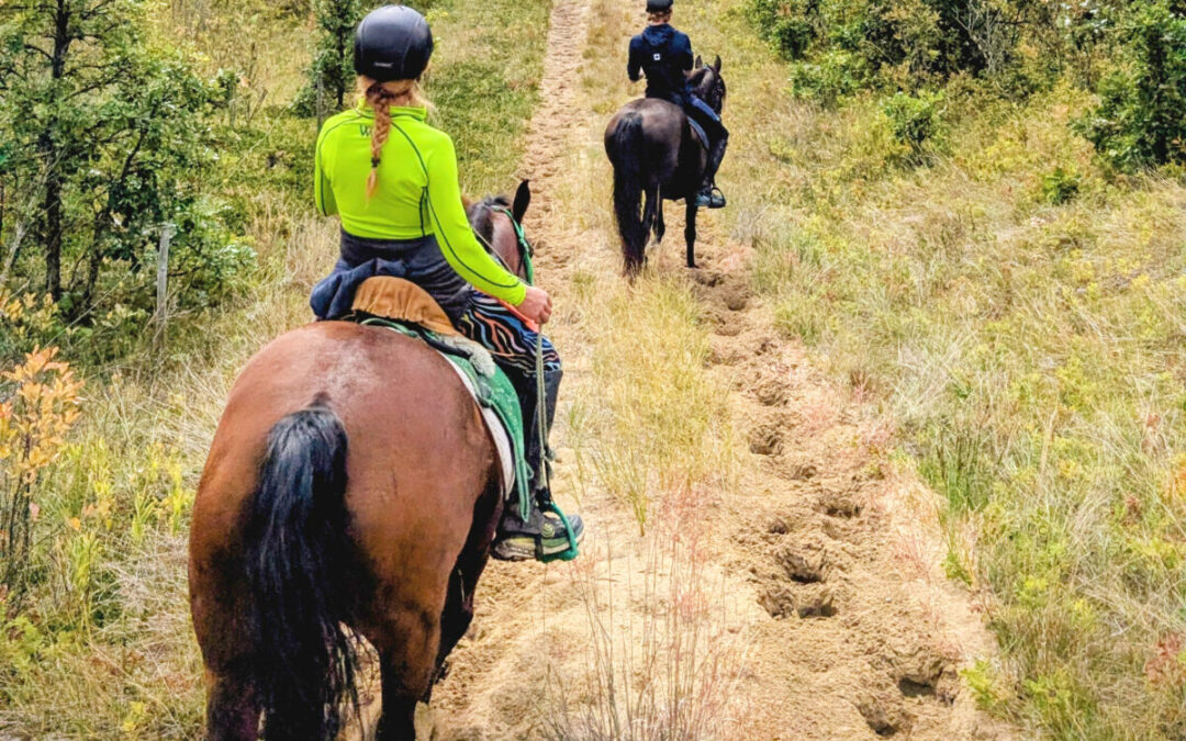 Distance riders saddle up for Endurance Rides at Spruce Woods Park