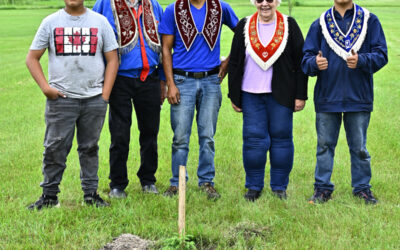 Tree planting ceremony held in Belmont