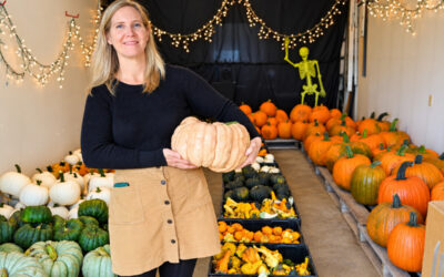 Princess Pink Pumpkins are a delightful twist!