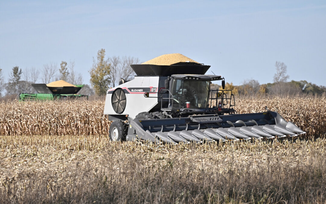 Corn harvest yields promise of healthy profits for local projects