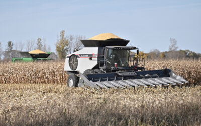 Corn harvest yields promise of healthy profits for local projects